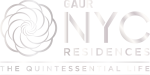 NYC Logo